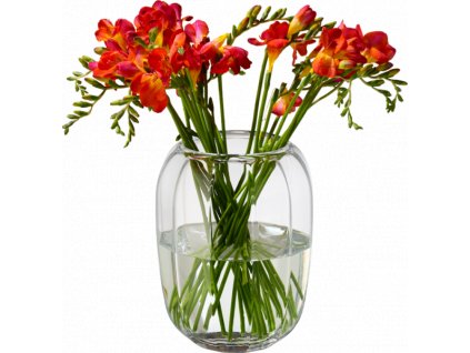 24261 coloured delight villeroy amp boch vaza svietnik clear