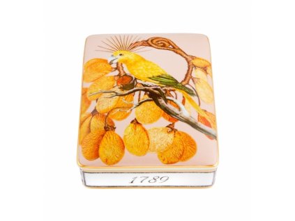26349 vista alegre darcekovy box 15 x 11 cm amazonia ecoarts