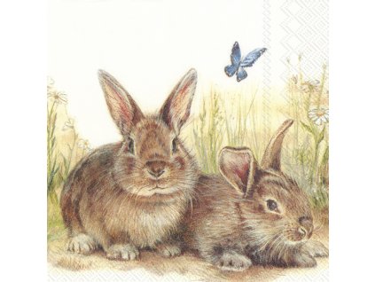 c 805000 bunnyandclyde