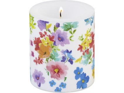 ckm 807000 1anabel