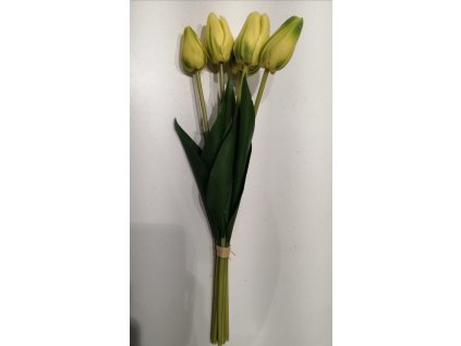 image5