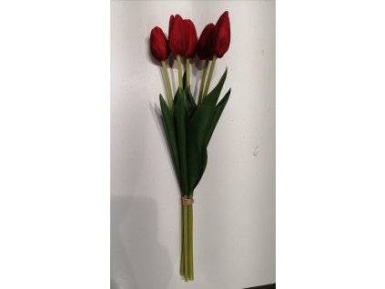 image6
