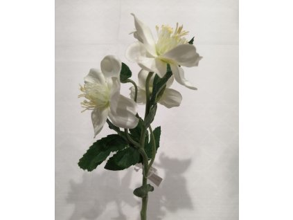 image44