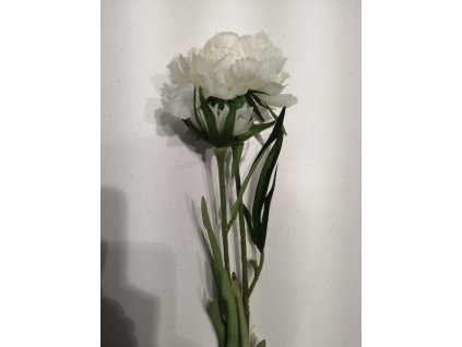 image8