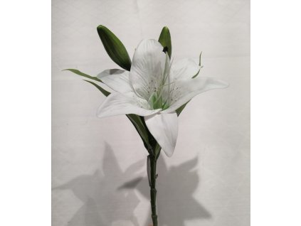 image13