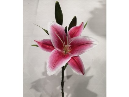 image100