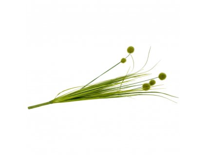 image1 (15)