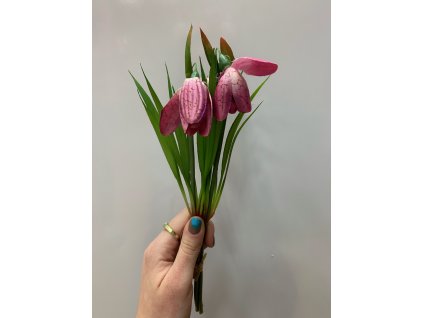 image1 (22)