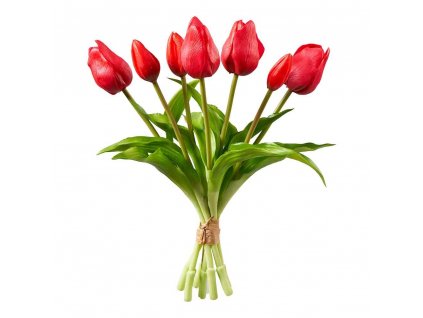 zvazok tulipanov 7ks cervena
