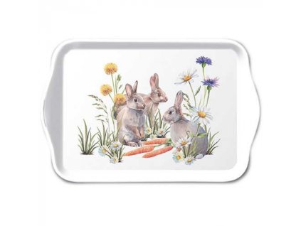 velkonocny podnos carrot treat zajaciky