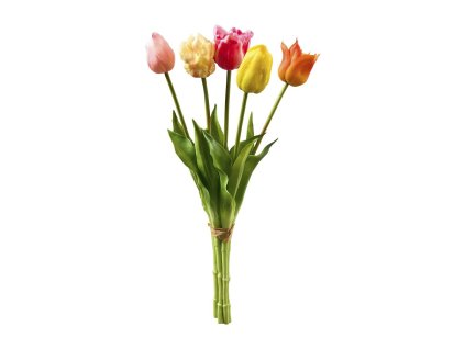 kytica tulipanov farebna1