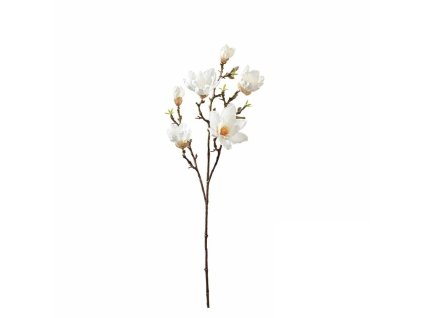 umela vetvicka magnolia