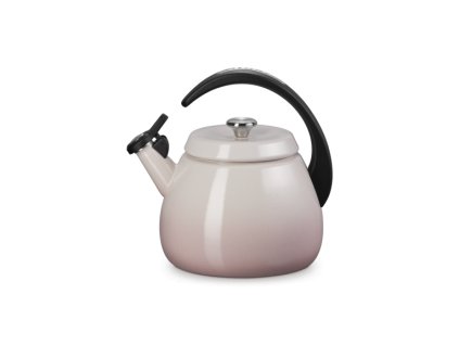 20250113 GS 40111017770900 100