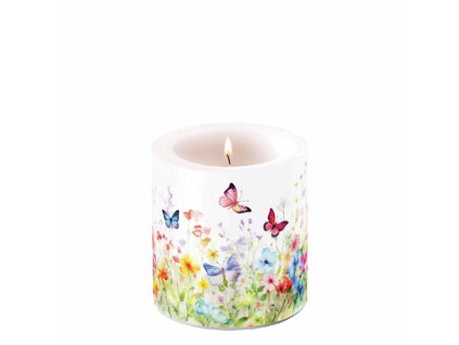sviecka motyle