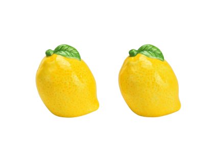 solnicka korenicka citrony1