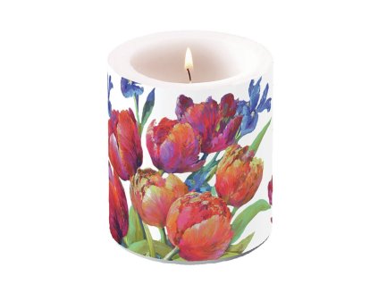 sviecka tulipany