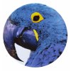 20016 vista alegre servirovaci tanier modry papagaj 32 cm olhar o brasil