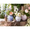 1172540982 Villeroy and Boch Oronda Mini vaza 12cm arctic breeze 4