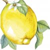 servitky velke lemon citron ihr