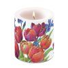 sviecka tulipany