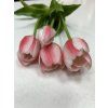 tulipany biela fuksia2