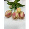tulipany zlta fuksia2