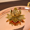 ruffoni lotus13