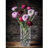 nachtmann noblesse 106017