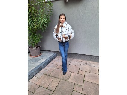 Kožuštek striekaný,foto (1)