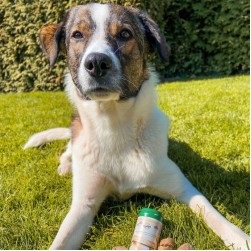 Dysplazie kyčelního kloubu