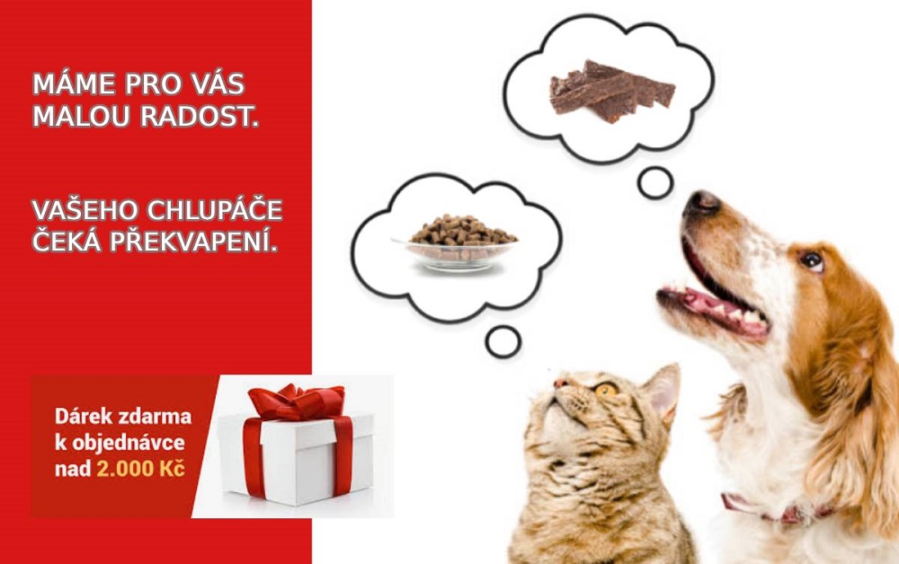 Dárek od Bellfor