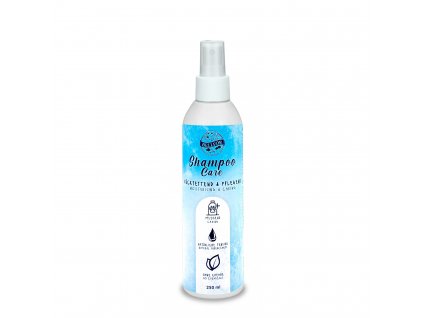 shampoo care 250ml 1650x1650