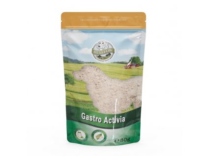 GastroActivia 80 800x800