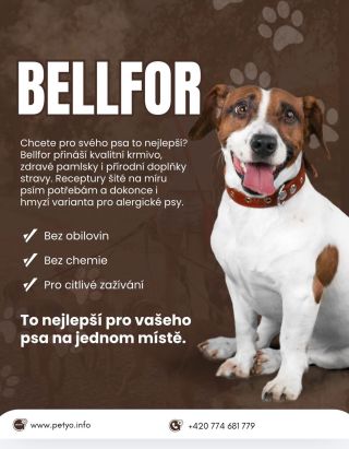 Když jde o zdraví a spokojenost našich psů, kvalita není detail — je to základ. Proto sázíme na krmivo, pamlsky a doplňky,...