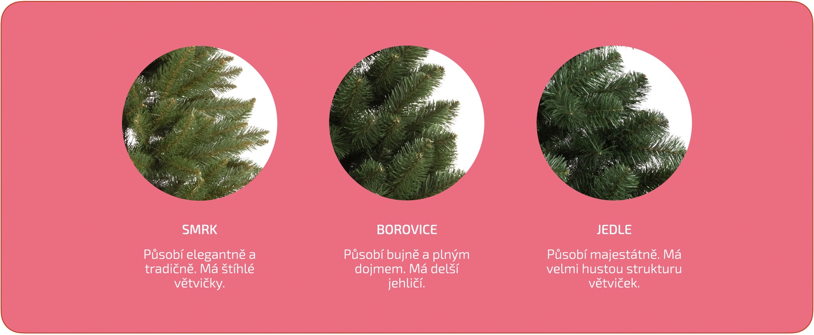 Ako-si-vybrat-vianocny-stromcek-Druh-stromceka