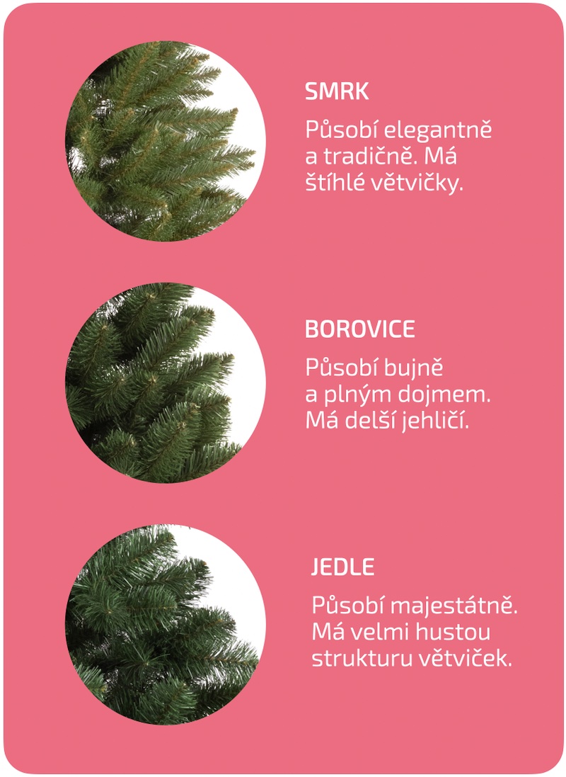 Ako-si-vybrat-vianocny-stromcek-Druh-stromceka