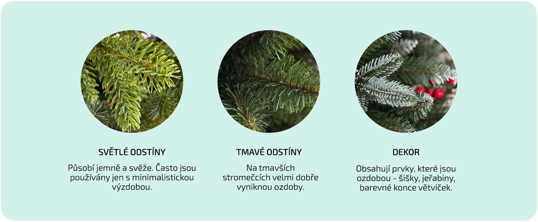 Ako-si-vybrat-vianocny-stromcek-Farba