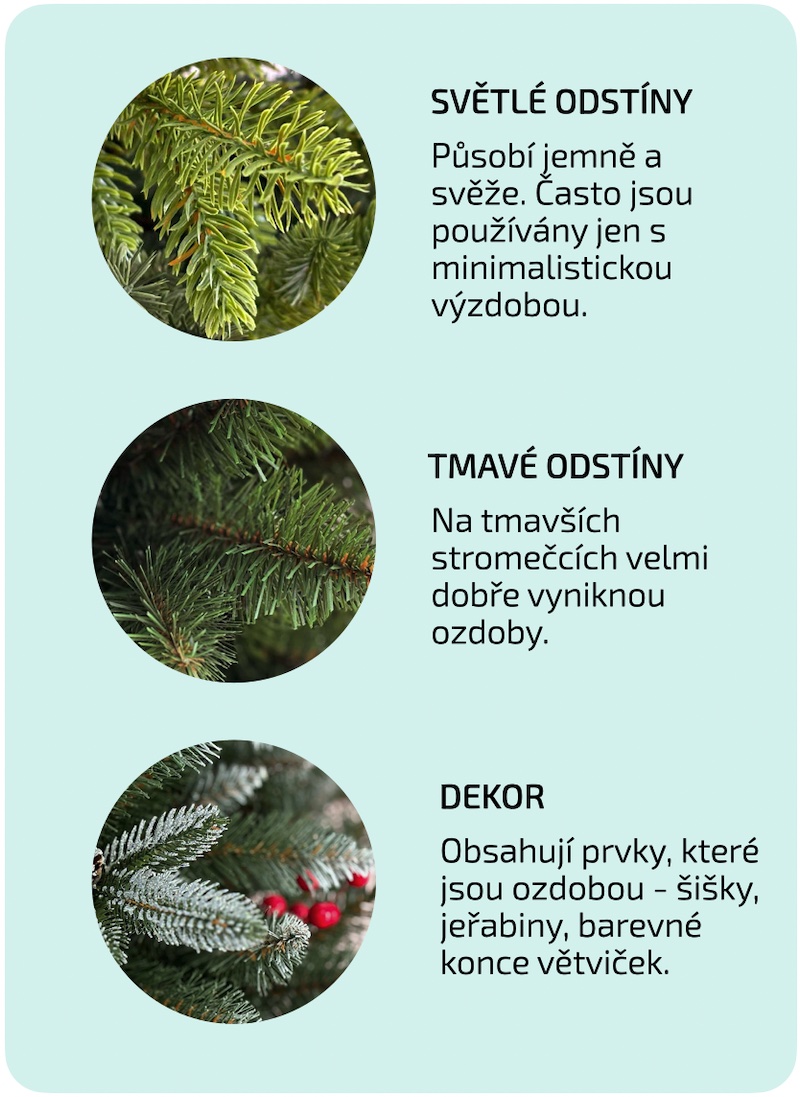 Ako-si-vybrat-vianocny-stromcek-Farba