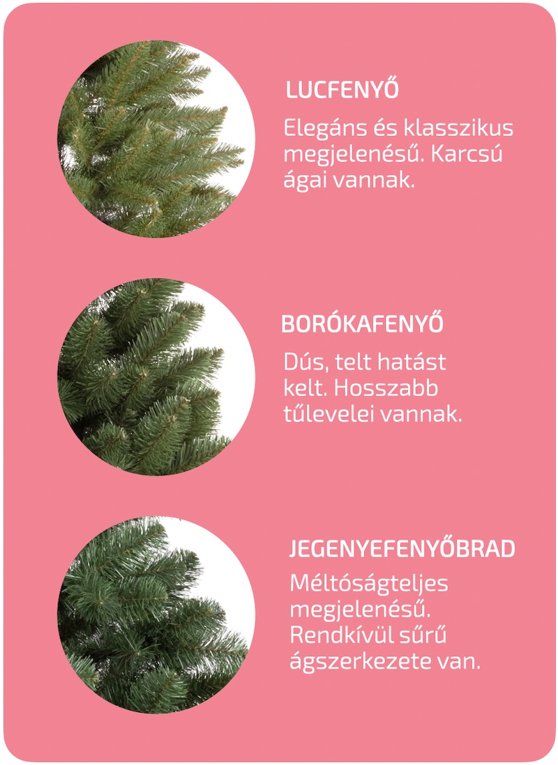 Ako-si-vybrat-vianocny-stromcek-Druh-stromceka