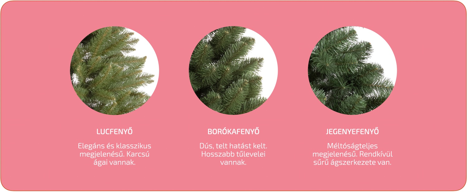 Ako-si-vybrat-vianocny-stromcek-Druh-stromceka