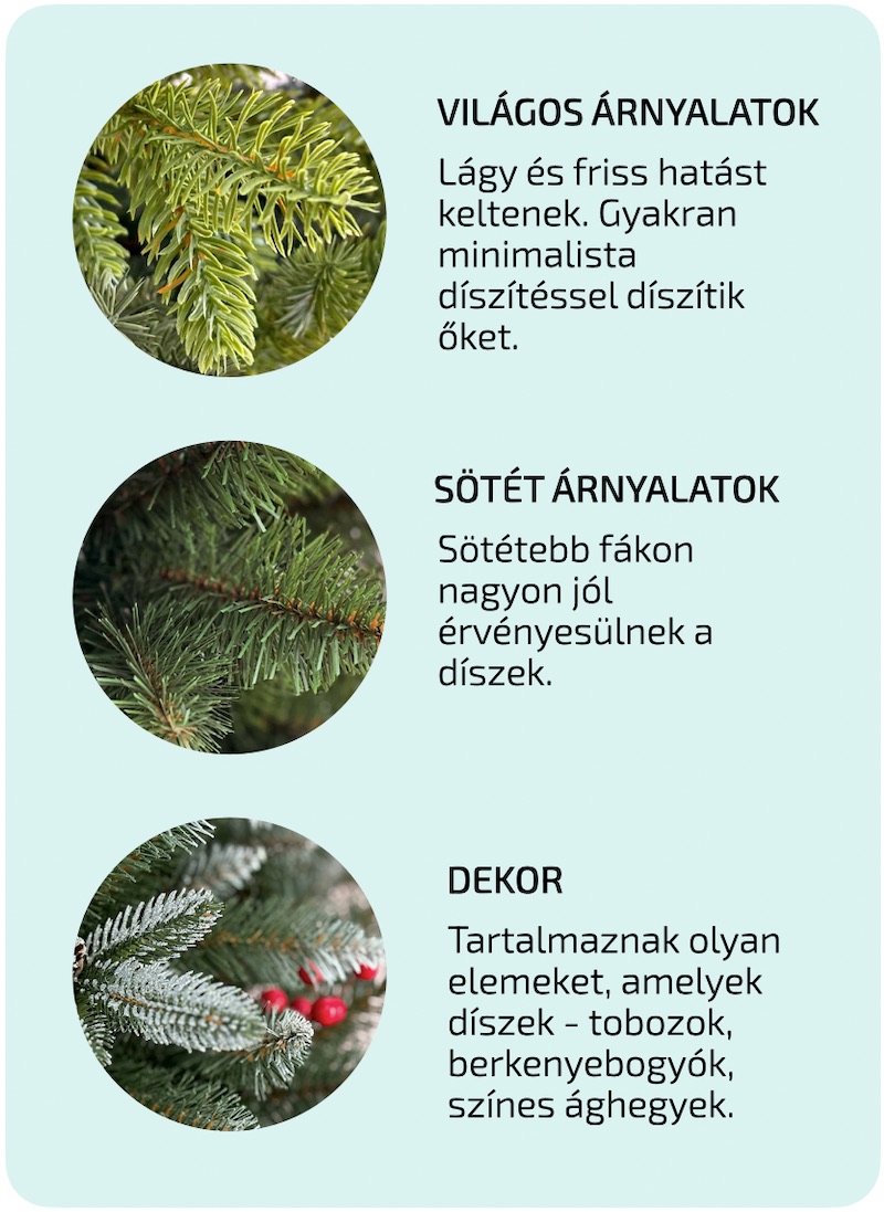 Ako-si-vybrat-vianocny-stromcek-Farba