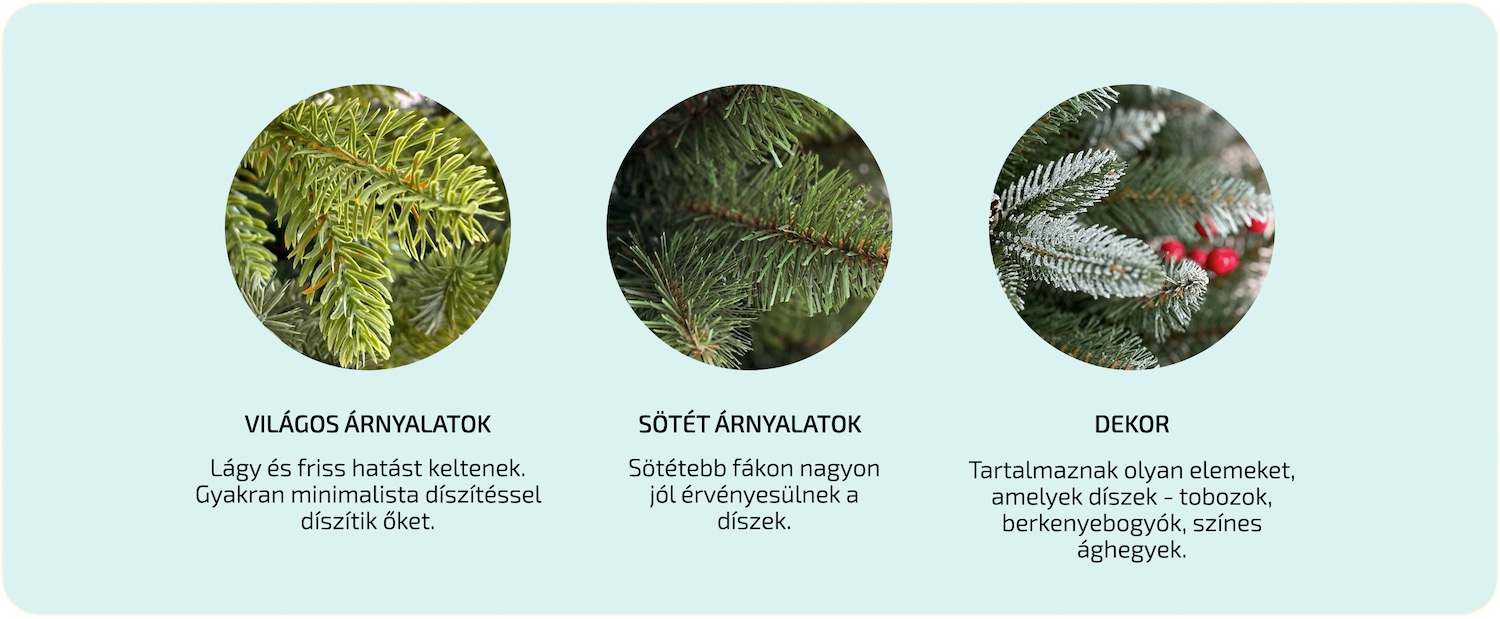 Ako-si-vybrat-vianocny-stromcek-Farba