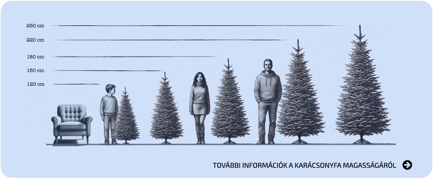 Ako-si-vybrat-vianocny-stromcek-Vyska