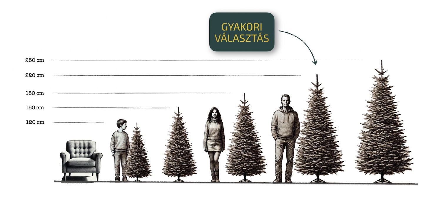 Ako-si-vybrat-vysku-vianocneho-stromceka-hu