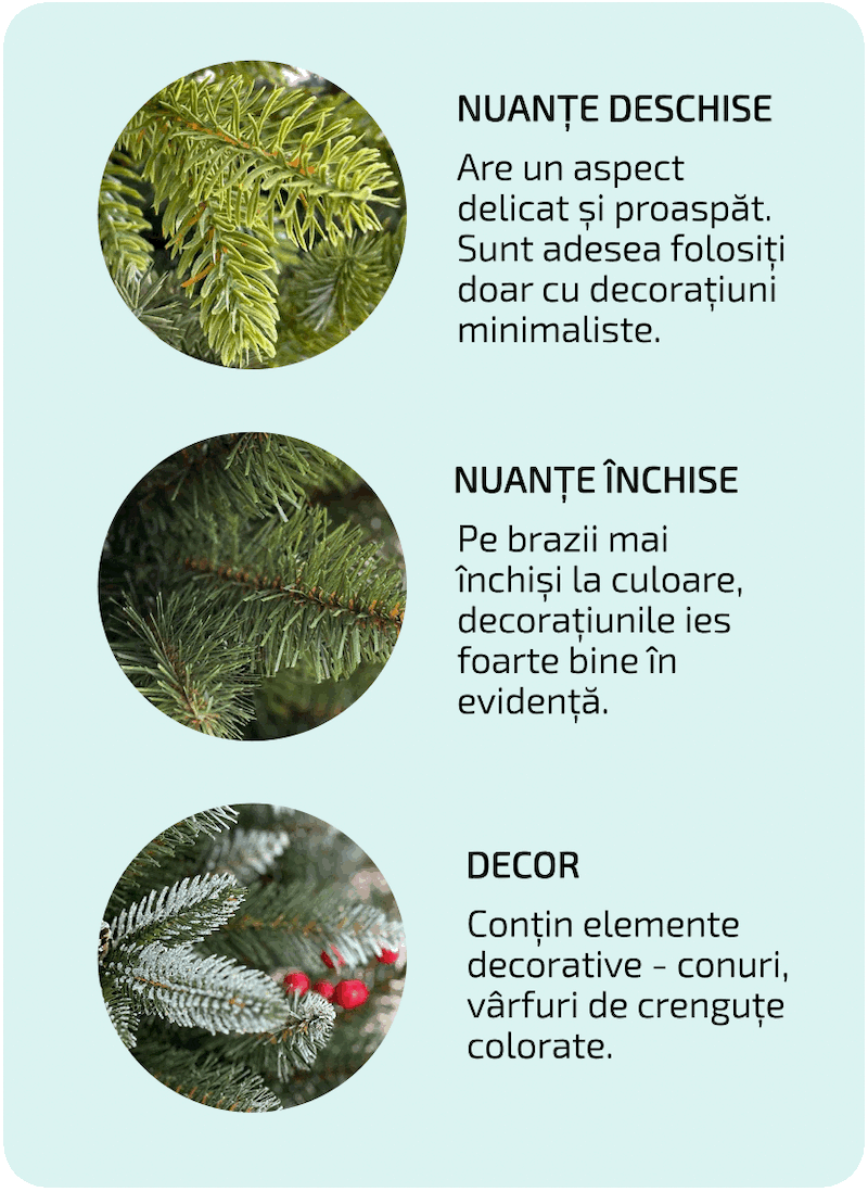 Ako-si-vybrat-vianocny-stromcek-Farba