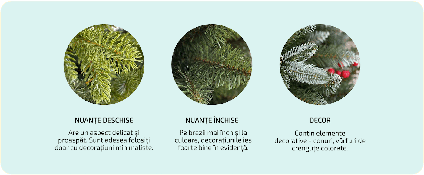 Ako-si-vybrat-vianocny-stromcek-Farba