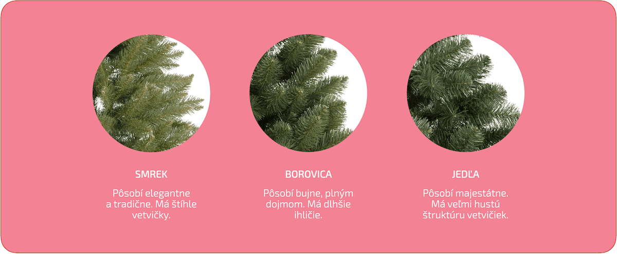Ako-si-vybrat-vianocny-stromcek-Druh-stromceka
