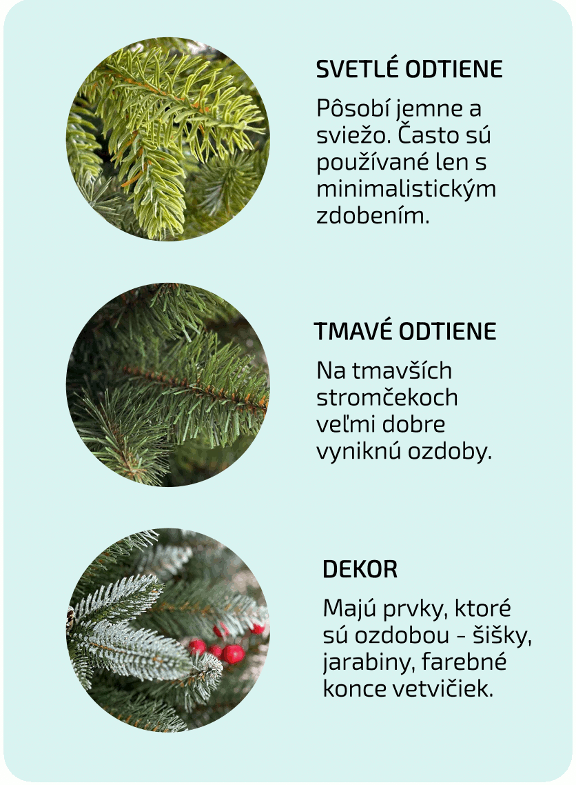 Ako-si-vybrat-vianocny-stromcek-Farba