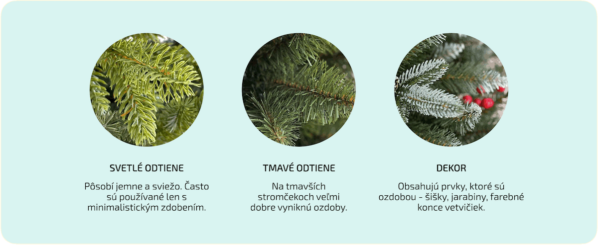 Ako-si-vybrat-vianocny-stromcek-Farba
