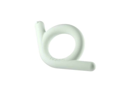 borrn hryzatko slimak zeleny